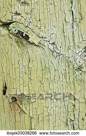 "Texture, wood with flaking paint" View Large Photo Image Stock Photograph - "Texture, wood with flaking paint". Fotosearch