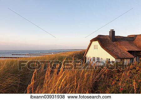 "Thatched cottage in the dunes on the beach, Baltic Sea, Ahrenshoop, Fischland, Mecklenburg-Western Pomerania, Germany, Europe" View Large Photo Image Stock Photo - "Thatched cottage in the dunes on the beach, Baltic Sea, Ahrenshoop, Fischland, Mecklenburg-Western Pomerania, Germany, Europe". Fotosearch