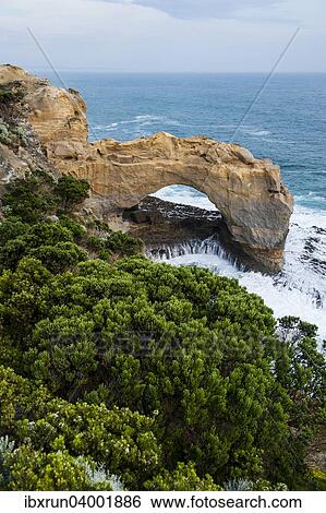 "The Arch, Port Campbell National Park, Victoria, Australia, Oceania" View Large Photo Image Stock Photograph - "The Arch, Port Campbell National Park, Victoria, Australia, Oceania". Fotosearch