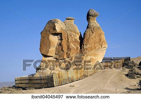 "The """"Camel"""" rock formation in Devrent Valley, Nevsehir Province, Cappadocia, Turkey, Asia" View Large Photo Image Stock Photo - "The """"Camel"""" rock formation in Devrent Valley, Nevsehir Province, Cappadocia, Turkey, Asia". Fotosearch