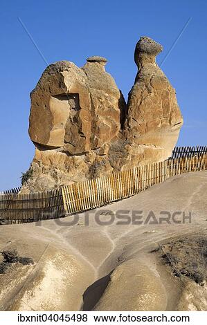 "The """"Camel"""" rock formation in Devrent Valley, Nevsehir Province, Cappadocia, Turkey, Asia" View Large Photo Image Stock Photo - "The """"Camel"""" rock formation in Devrent Valley, Nevsehir Province, Cappadocia, Turkey, Asia". Fotosearch