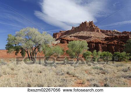 "The Castle rock formation, Capitol Reef National Park, Utah, USA" View Large Photo Image Stock Photograph - "The Castle rock formation, Capitol Reef National Park, Utah, USA". Fotosearch