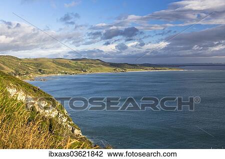 Stock Image - "The Catlins in the morning light, Ahuriri Flat, Otago, New Zealand, Oceania". Fotosearch