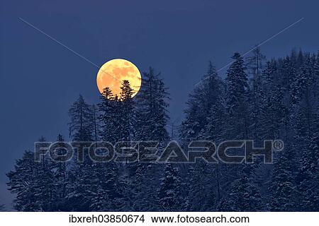 "The full moon rising over a winter forest, Tyrol, Austria, Europe" View Large Photo Image Picture - "The full moon rising over a winter forest, Tyrol, Austria, Europe". Fotosearch