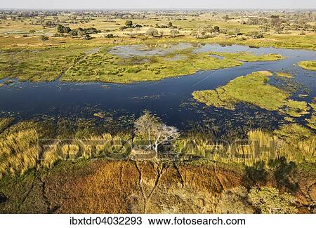 Stock Image - "The Gomoti River with its adjoining freshwater marshland, aerial view, Okavango Delta, Botswana, Africa". Fotosearch