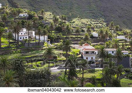 Stock Image - "The hamlet Taguluche, Valle Gran Rey, La Gomera, Canary Islands, Spain, Europe". Fotosearch