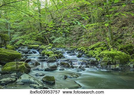 "The Holzbach brook in the Holzbachschlucht, Westerwald, Hesse, Germany, Europe" View Large Photo Image Stock Photo - "The Holzbach brook in the Holzbachschlucht, Westerwald, Hesse, Germany, Europe". Fotosearch