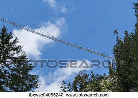 "The Holzgauer Hangebrucke suspension bridge from below, 200. 5 m long, 1. 20 m wide and 110 m height, longest and highest cable-suspension bridge in Austria, Holzgau, Lech valley, Austria, Europe" View Large Photo Image Stock Image - "The Holzgauer Hangebrucke suspension bridge from below, 200. 5 m long, 1. 20 m wide and 110 m height, longest and highest cable-suspension bridge in Austria, Holzgau, Lech valley, Austria, Europe". Fotosearch
