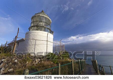 Stock Photograph - "The Lighthouse at Nugget Point in the morning light, Nugget Point, Ahuriri Flat, Otago Region, New Zealand, Oceania". Fotosearch