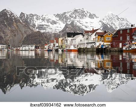 "The Lofoten mountains being reflected in the water of the harbour of Henningsvaer, Lofoten, Norway, Europe" View Large Photo Image Stock Image - "The Lofoten mountains being reflected in the water of the harbour of Henningsvaer, Lofoten, Norway, Europe". Fotosearch