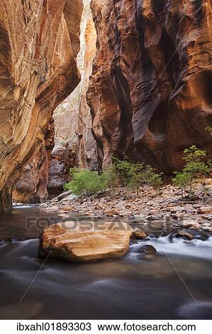 "The Narrows, narrow point of the Virgin River, Zion National Park, Utah, USA, America" View Large Photo Image Stock Image - "The Narrows, narrow point of the Virgin River, Zion National Park, Utah, USA, America". Fotosearch