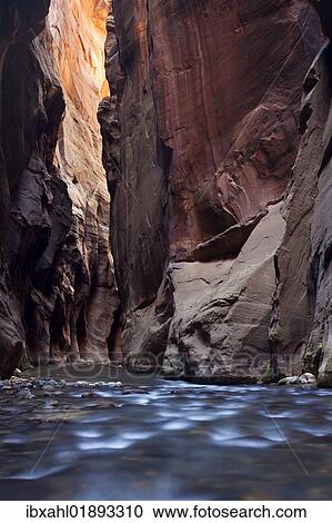 "The Narrows, narrow point of the Virgin River, Zion National Park, Utah, USA, America" View Large Photo Image Stock Image - "The Narrows, narrow point of the Virgin River, Zion National Park, Utah, USA, America". Fotosearch