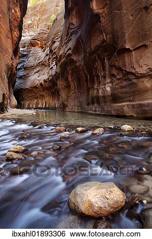 "The Narrows, narrow point of the Virgin River, Zion National Park, Utah, USA, America" View Large Photo Image Stock Photograph - "The Narrows, narrow point of the Virgin River, Zion National Park, Utah, USA, America". Fotosearch