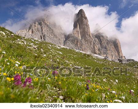 Picture - "The peaks of Tre Cime di Lavaredo with a colourful alpine meadow, Dolomiti di Sesto National Park, Sexten Dolomites, Hochpustertal, High Puster Valley, South Tyrol, Italy, Europe". Fotosearch