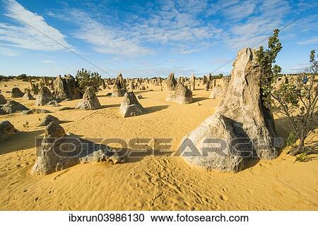 "The Pinnacles limestone formations, Nambung National Park, Western Australia" View Large Photo Image Stock Image - "The Pinnacles limestone formations, Nambung National Park, Western Australia". Fotosearch