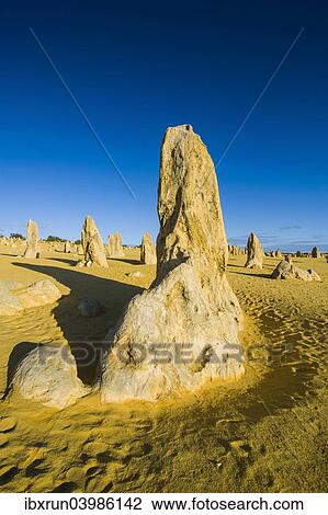 "The Pinnacles limestone formations, Nambung National Park, Western Australia" View Large Photo Image Stock Image - "The Pinnacles limestone formations, Nambung National Park, Western Australia". Fotosearch