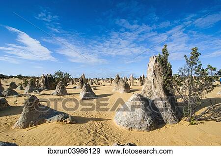"The Pinnacles limestone formations, Nambung National Park, Western Australia" View Large Photo Image Stock Photo - "The Pinnacles limestone formations, Nambung National Park, Western Australia". Fotosearch