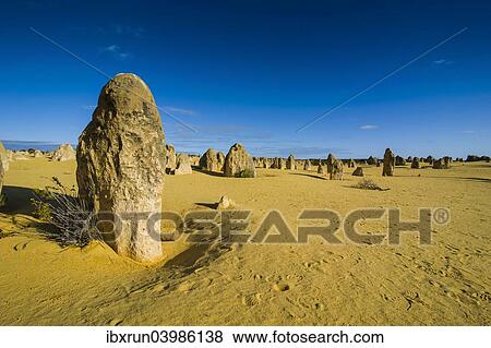 "The Pinnacles limestone formations, Nambung National Park, Western Australia" View Large Photo Image Stock Photo - "The Pinnacles limestone formations, Nambung National Park, Western Australia". Fotosearch