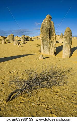 "The Pinnacles limestone formations, Nambung National Park, Western Australia" View Large Photo Image Stock Photo - "The Pinnacles limestone formations, Nambung National Park, Western Australia". Fotosearch