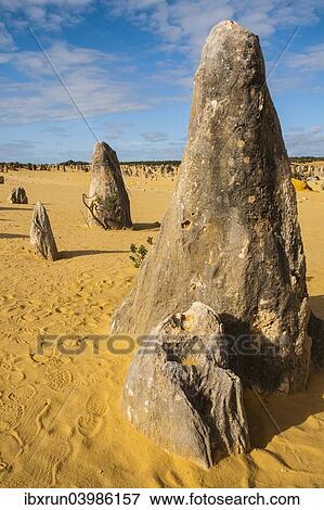 "The Pinnacles limestone formations, Nambung National Park, Western Australia" View Large Photo Image Stock Photo - "The Pinnacles limestone formations, Nambung National Park, Western Australia". Fotosearch