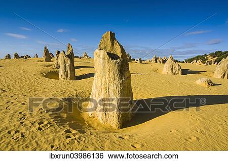 "The Pinnacles limestone formations, Nambung National Park, Western Australia" View Large Photo Image Stock Photograph - "The Pinnacles limestone formations, Nambung National Park, Western Australia". Fotosearch