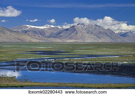 "The plain south of Lake Moriri, Tso Moriri or Tsomoriri is criss-crossed by rivers, Kibber-Karzok-Trail, Changtang or Changthang, Ladakh, Indian Himalayas, Jammu and Kashmir, North India, India, Asia" View Large Photo Image Stock Image - "The plain south of Lake Moriri, Tso Moriri or Tsomoriri is criss-crossed by rivers, Kibber-Karzok-Trail, Changtang or Changthang, Ladakh, Indian Himalayas, Jammu and Kashmir, North India, India, Asia". Fotosearch