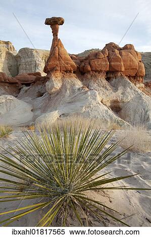 "The Rimrock, landscape, Utah, USA, America" View Large Photo Image Stock Photography - "The Rimrock, landscape, Utah, USA, America". Fotosearch