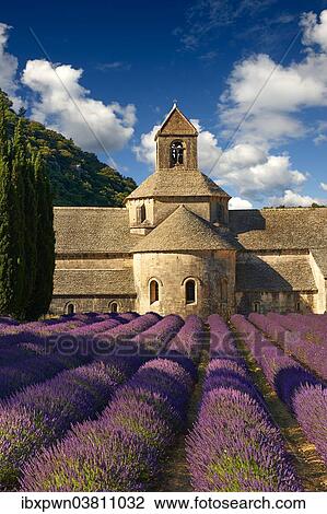 Stock Image - "The Romanesque Cistercian Abbey of Notre Dame of Senanque, 1148, set amongst flowering lavender fields, near Gordes, Provence-Alpes-Cote d? ÇÖAzur, France, Europe". Fotosearch