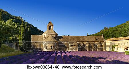 "The Romanesque Cistercian Abbey of Notre Dame of Senanque, 1148, set amongst flowering lavender fields, near Gordes, Provence-Alpes-Cote d’Azur, France, Europe" View Large Photo Image Stock Photo - "The Romanesque Cistercian Abbey of Notre Dame of Senanque, 1148, set amongst flowering lavender fields, near Gordes, Provence-Alpes-Cote d’Azur, France, Europe". Fotosearch