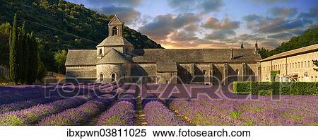 Stock Photography - "The Romanesque Cistercian Abbey of Notre Dame of Senanque, 1148, set amongst flowering lavender fields, near Gordes, Provence-Alpes-Cote d? ÇÖAzur, France, Europe". Fotosearch