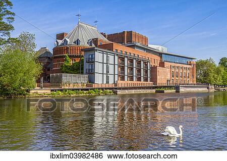 "The Royal Shakespeare Theatre, home of the Royal Shakespeare Company, on the River Avon, with a swan in the foreground, Stratford-on-Avon, Warwickshire, England, United Kingdom, Europe" View Large Photo Image Stock Photograph - "The Royal Shakespeare Theatre, home of the Royal Shakespeare Company, on the River Avon, with a swan in the foreground, Stratford-on-Avon, Warwickshire, England, United Kingdom, Europe". Fotosearch