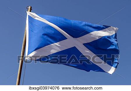 "The Saltire, Scottish flag, flying against a blue sky, Oban, Scotland, United Kingdom, Europe" View Large Photo Image Stock Photograph - "The Saltire, Scottish flag, flying against a blue sky, Oban, Scotland, United Kingdom, Europe". Fotosearch