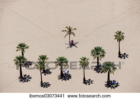 "The sandy beach of Playa de las Teresitas with palm trees, bird's eye view, San Andres, La Montanita, Tenerife, Canary Islands, Spain, Europe" View Large Photo Image Stock Image - "The sandy beach of Playa de las Teresitas with palm trees, bird's eye view, San Andres, La Montanita, Tenerife, Canary Islands, Spain, Europe". Fotosearch
