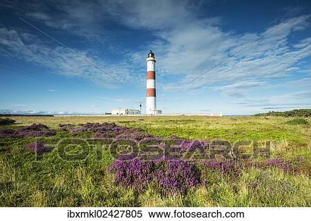 "The Tarbat Ness lighthouse on the Moray Firth, Scotland, United Kingdom, Europe" View Large Photo Image Stock Photography - "The Tarbat Ness lighthouse on the Moray Firth, Scotland, United Kingdom, Europe". Fotosearch