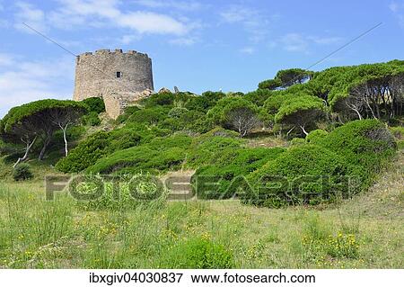 "The watchtower Torre Spagnola, Santa Teresa Gallura, Province of Olbia-Nebbio, Sardinia, Italy, Europe" View Large Photo Image Stock Photo - "The watchtower Torre Spagnola, Santa Teresa Gallura, Province of Olbia-Nebbio, Sardinia, Italy, Europe". Fotosearch