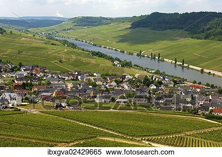 "The wine-growing town of Nittel on the Upper Moselle river, Moselle valley, Rhineland-Palatinate, Germany, Europe" View Large Photo Image Stock Photography - "The wine-growing town of Nittel on the Upper Moselle river, Moselle valley, Rhineland-Palatinate, Germany, Europe". Fotosearch