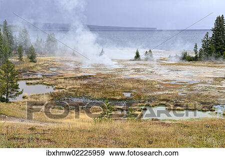 "Thermal area, West Thumb Geysir Basin, Yellowstone National Park, Wyoming, USA" View Large Photo Image Stock Photo - "Thermal area, West Thumb Geysir Basin, Yellowstone National Park, Wyoming, USA". Fotosearch