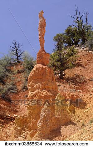 "Thin pinnacle of eroded sandstone, Bryce Canyon National Park, Utah, United States, North America" View Large Photo Image Picture - "Thin pinnacle of eroded sandstone, Bryce Canyon National Park, Utah, United States, North America". Fotosearch