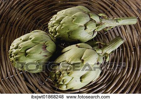 Three artichokes (Cynara cardunculus) in a basket View Large Photo Image Stock Photo - Three artichokes (Cynara cardunculus) in a basket. Fotosearch