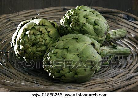 Three artichokes (Cynara cardunculus) in a basket View Large Photo Image Stock Photograph - Three artichokes (Cynara cardunculus) in a basket. Fotosearch