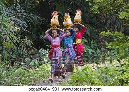 Stock Image - "Three girls walking to the temple, carrying offerings for a ceremony on their heads, Bali, Indonesia, Asia". Fotosearch