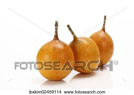 Three Granadillas or Passion Fruit (Passiflora caerulea) View Large Photo Image Picture - Three Granadillas or Passion Fruit (Passiflora caerulea). Fotosearch