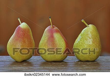 Three pears on an old wooden table View Large Photo Image Picture - Three pears on an old wooden table. Fotosearch