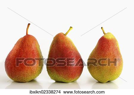 Three pears View Large Photo Image Picture - Three pears. Fotosearch