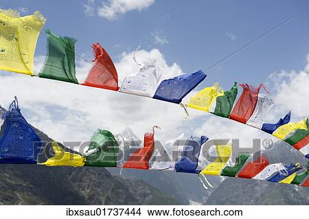 "Tibetan Buddhism, colorful prayer flags blowing in the wind in front of mountain landscape, Shashur Gompa monastery, Keylong, Lahaul and Spiti district, Himachal Pradesh, India, South Asia, Asia" View Large Photo Image Picture - "Tibetan Buddhism, colorful prayer flags blowing in the wind in front of mountain landscape, Shashur Gompa monastery, Keylong, Lahaul and Spiti district, Himachal Pradesh, India, South Asia, Asia". Fotosearch