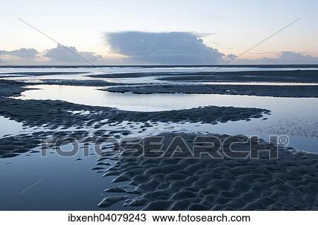 "Tidal channels in the Wadden Sea, Langeoog, East Frisia, Lower Saxony, Germany, Europe" View Large Photo Image Stock Image - "Tidal channels in the Wadden Sea, Langeoog, East Frisia, Lower Saxony, Germany, Europe". Fotosearch