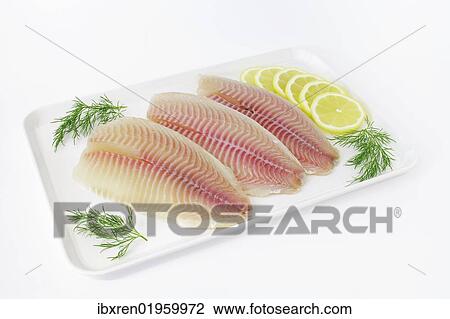 Tilapia fillets on a plate with lemon and dill View Large Photo Image Stock Image - Tilapia fillets on a plate with lemon and dill. Fotosearch