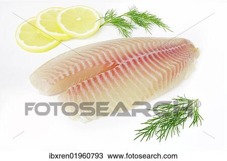 Tilapia fillets on plate with lemon and dill View Large Photo Image Stock Image - Tilapia fillets on plate with lemon and dill. Fotosearch