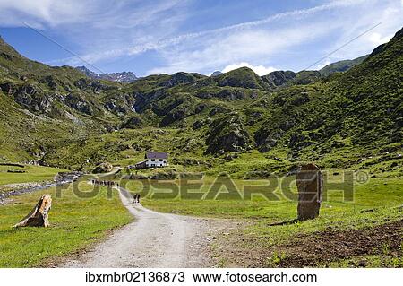 "Timmelsalm alpine pasture, during the ascent to Mueller Hut via the Passeiertal Valley of the Timmelsjoch Pass Road, Alto Adige, Italy, Europe" View Large Photo Image Stock Image - "Timmelsalm alpine pasture, during the ascent to Mueller Hut via the Passeiertal Valley of the Timmelsjoch Pass Road, Alto Adige, Italy, Europe". Fotosearch