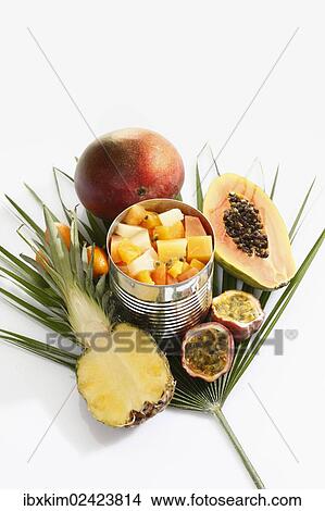 "Tin can with tropical fruits on a palm frond, pineapple, papaya, mango, passion fruit" View Large Photo Image Picture - "Tin can with tropical fruits on a palm frond, pineapple, papaya, mango, passion fruit". Fotosearch